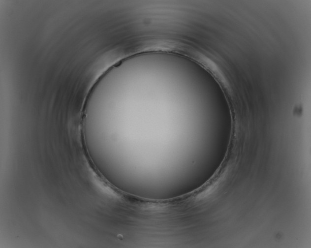 X0000093090802200710101516