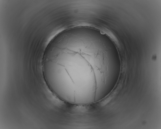 X0000093090806200710101516