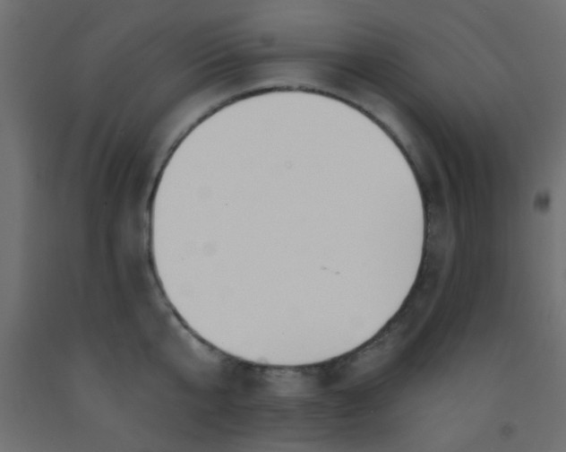 X0000093090807200710101516