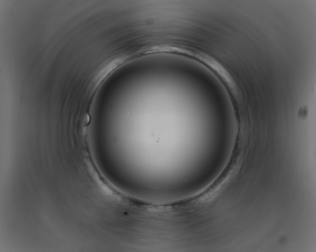 X0000093090809200710101516