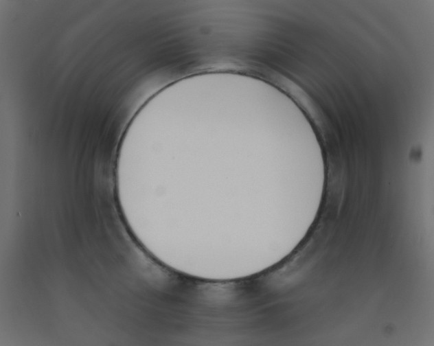 X0000093090810200710101516