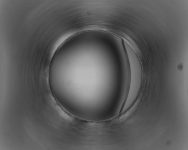 X0000093090812200710101516