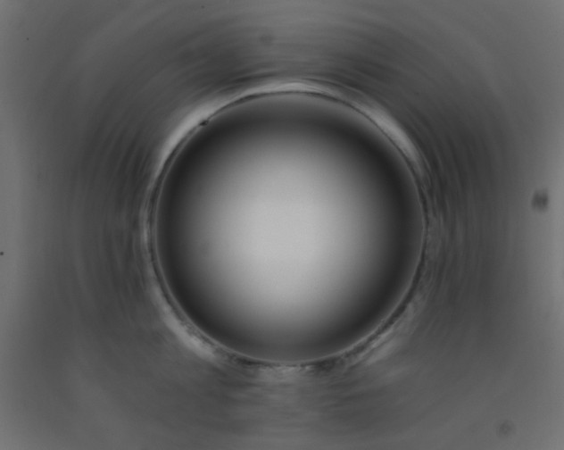 X0000093090813200710101516