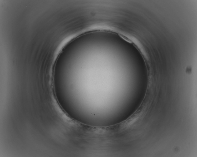 X0000093090815200710101516