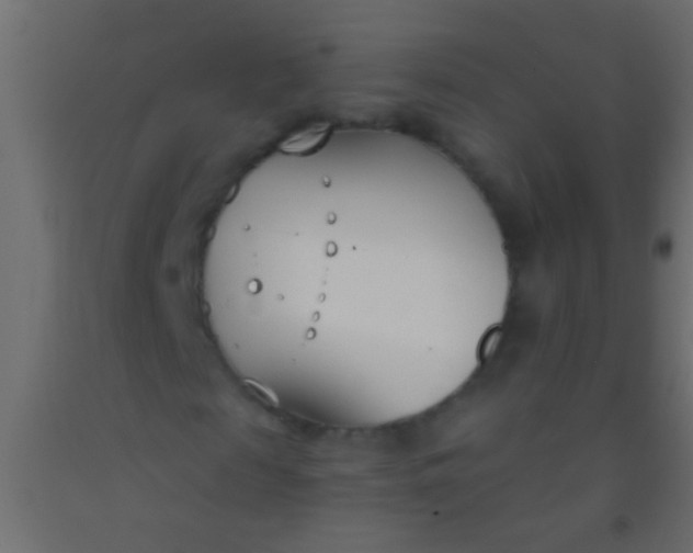 X0000093090817200710101515