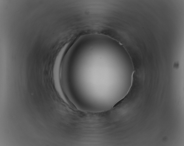 X0000093090818200710101515