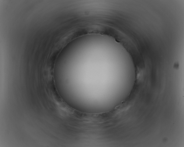 X0000093090819200710101515