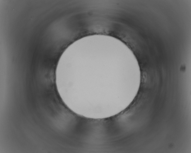 X0000093090820200710101515