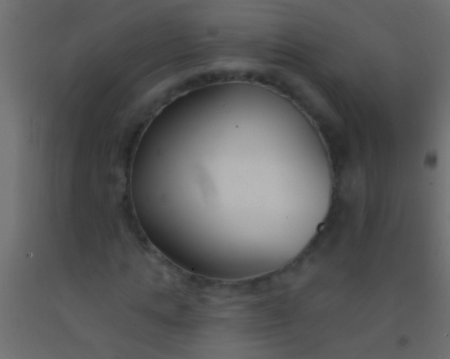 X0000093090821200710101515