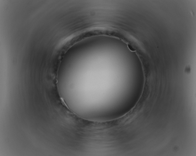 X0000093090822200710101515