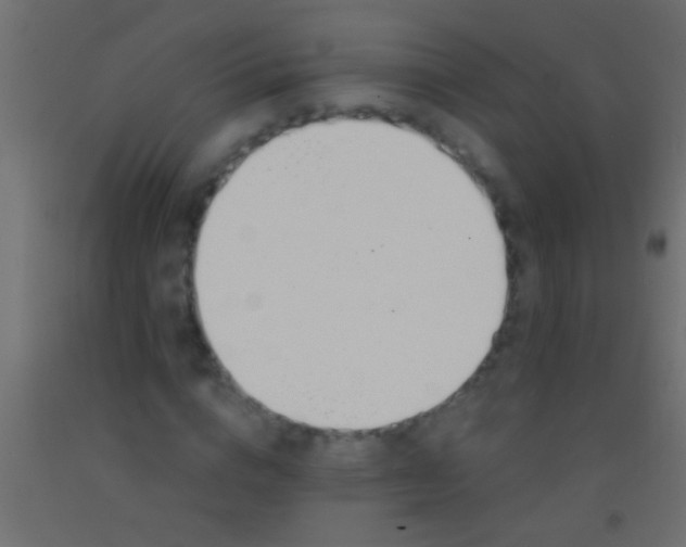 X0000093090824200710101515