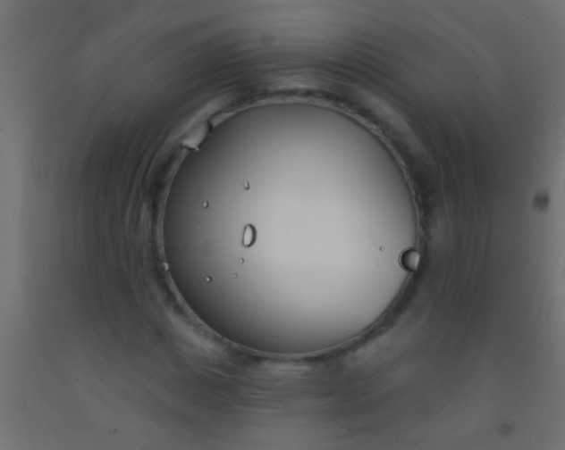 X0000093090825200710101515