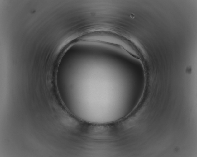 X0000093090826200710101515