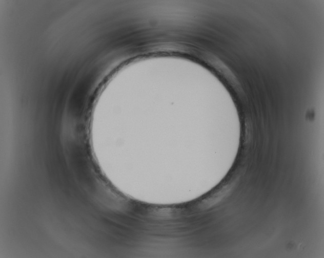 X0000093090828200710101515