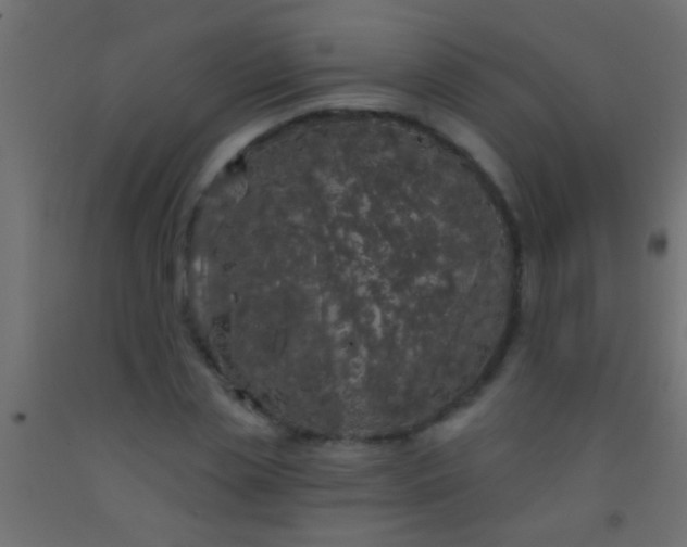 X0000093090829200710101515