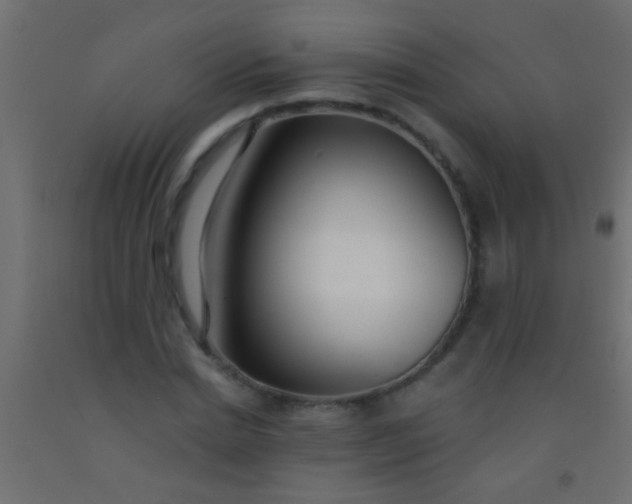 X0000093090830200710101515