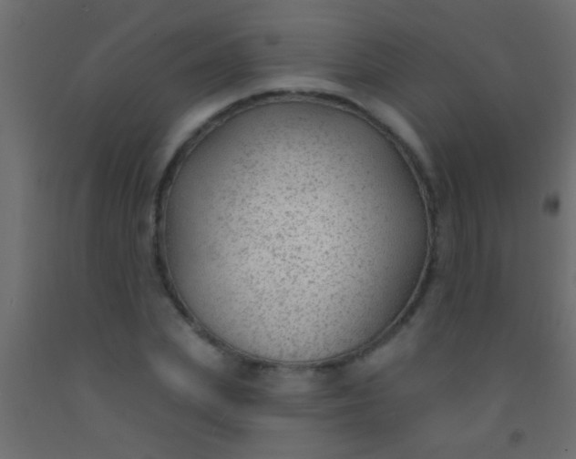 X0000093090831200710101515