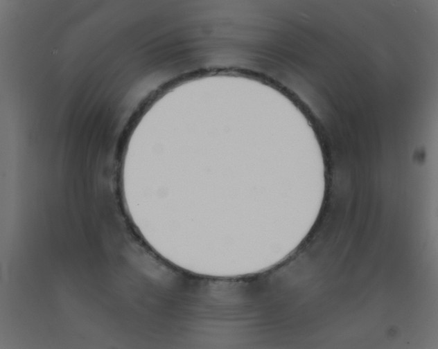 X0000093090832200710101515