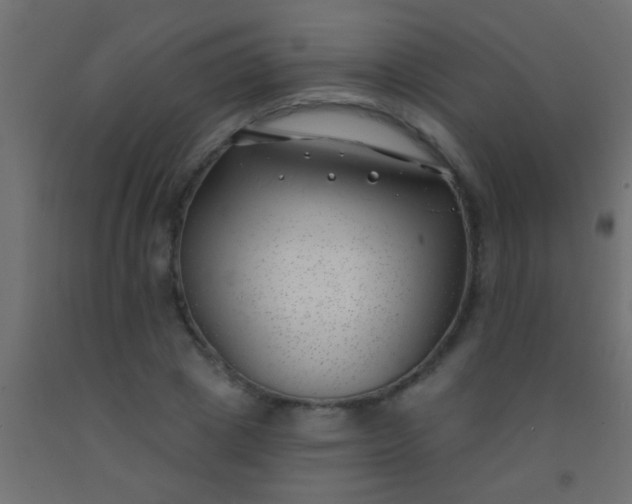 X0000093090833200710101515