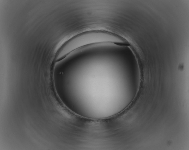 X0000093090834200710101515