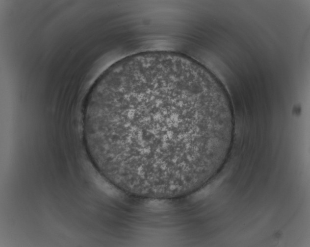 X0000093090835200710101515