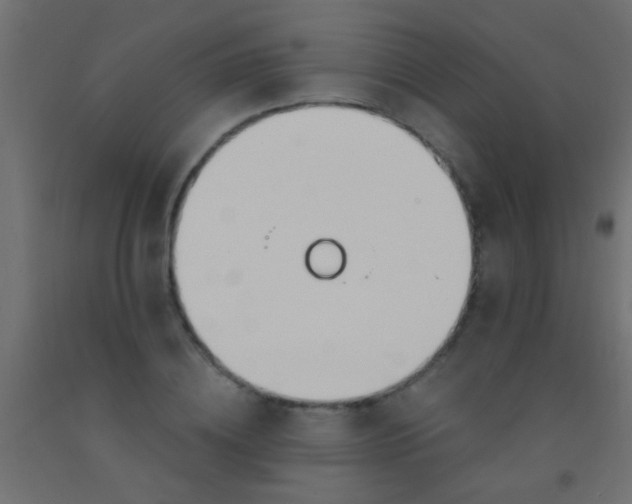 X0000093090836200710101515