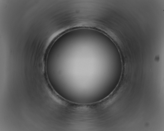 X0000093090838200710101515