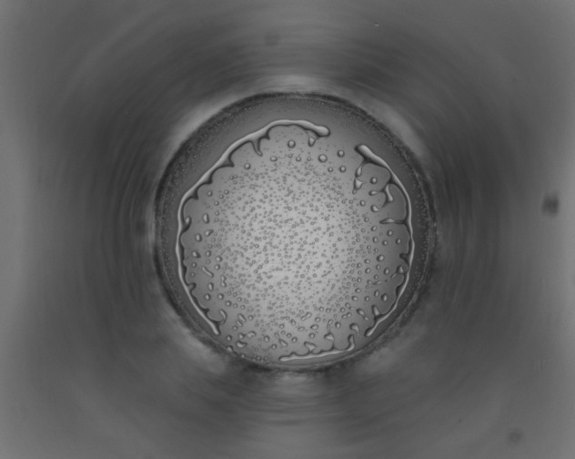 X0000093090839200710101515