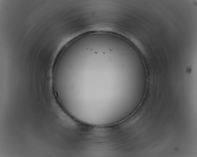 X0000093090840200710101515