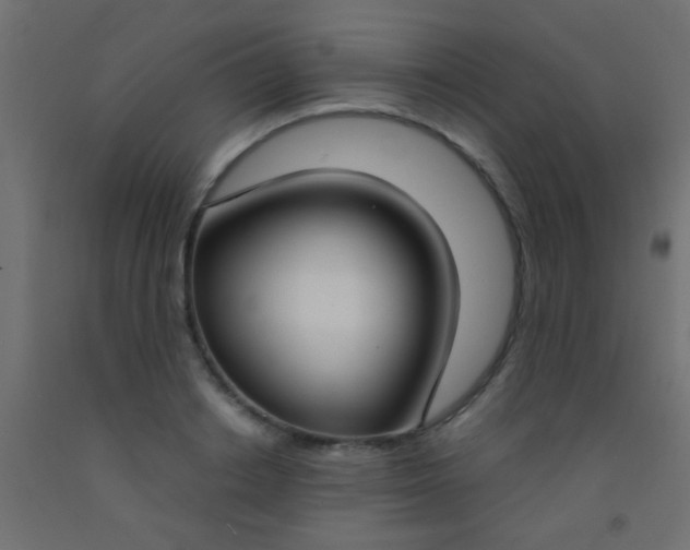 X0000093090842200710101515