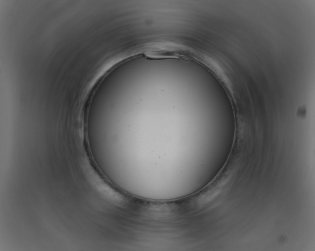 X0000093090843200710101515