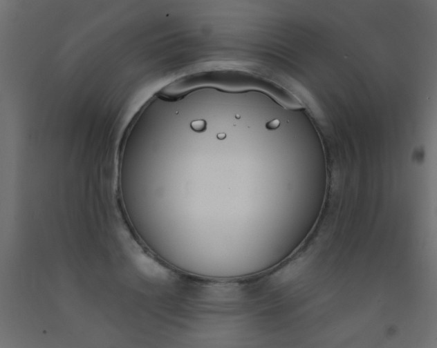 X0000093090844200710101515