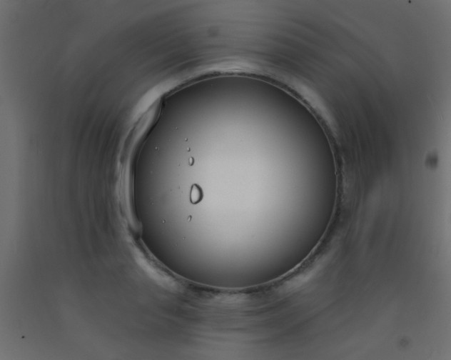 X0000093090845200710101515