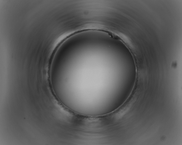 X0000093090846200710101515