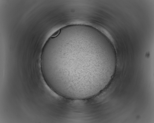 X0000093090847200710101516