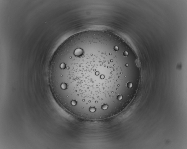 X0000093090851200710101516