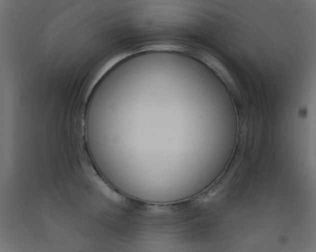 X0000093090852200710101516