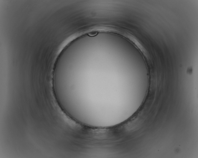 X0000093090853200710101516