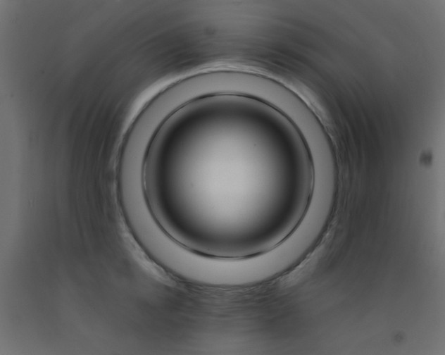 X0000093090854200710101516