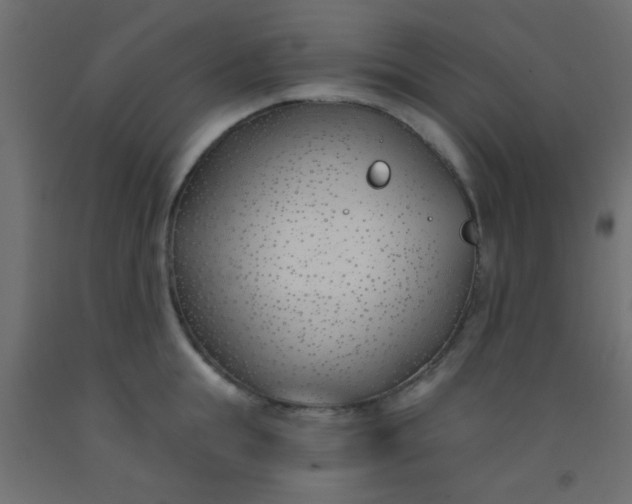 X0000093090855200710101516