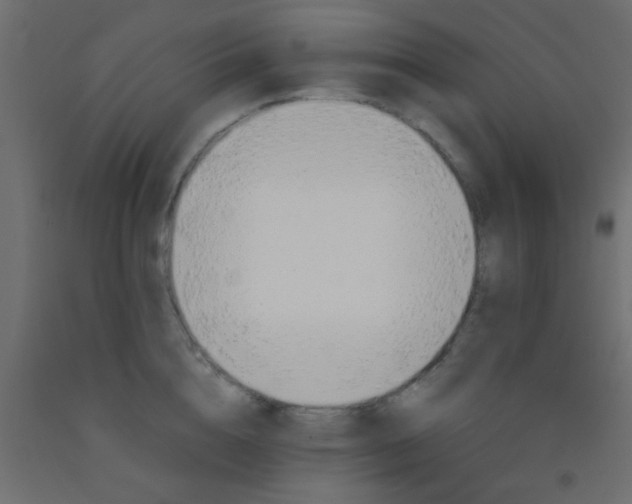 X0000093090856200710101516