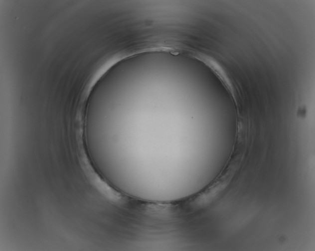 X0000093090859200710101516