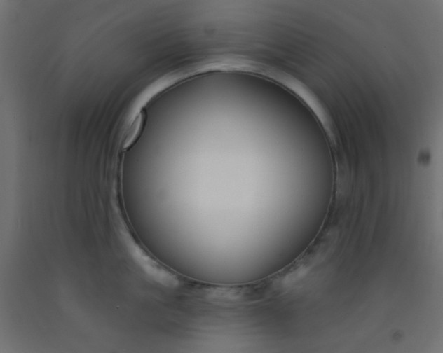 X0000093090861200710101516