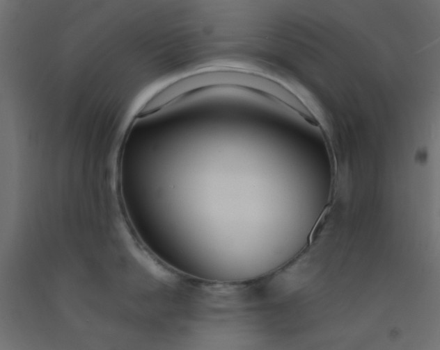 X0000093090862200710101516