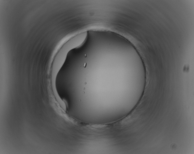 X0000093090864200710101516