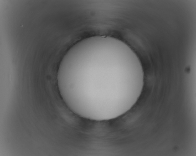 X0000093090865200710101515