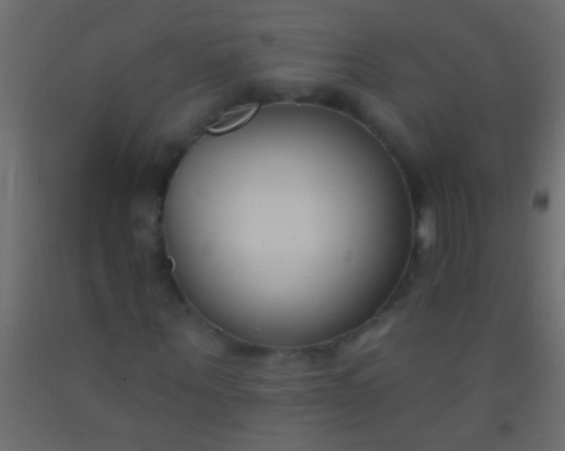 X0000093090867200710101515