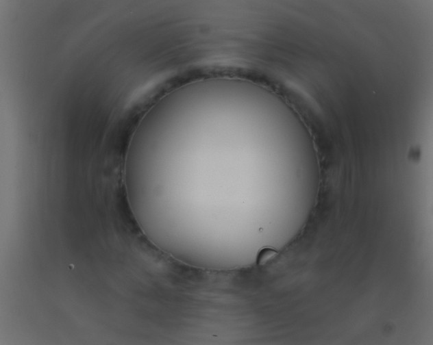 X0000093090870200710101515