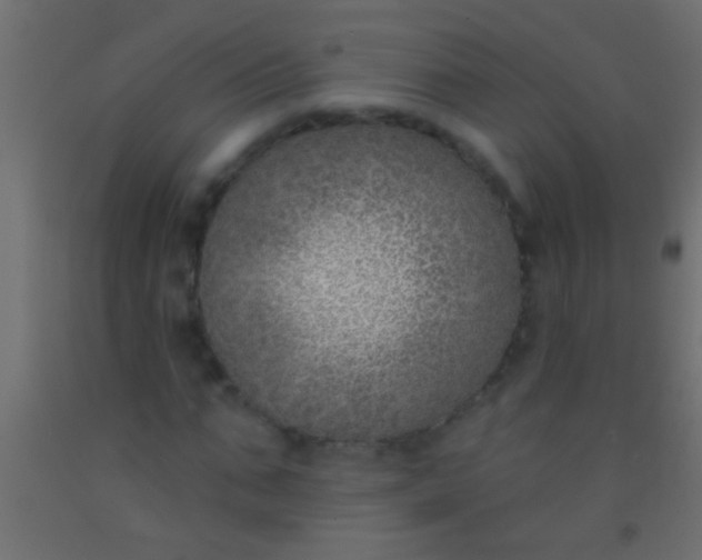 X0000093090871200710101515