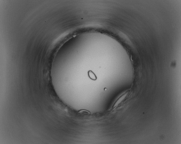 X0000093090872200710101515